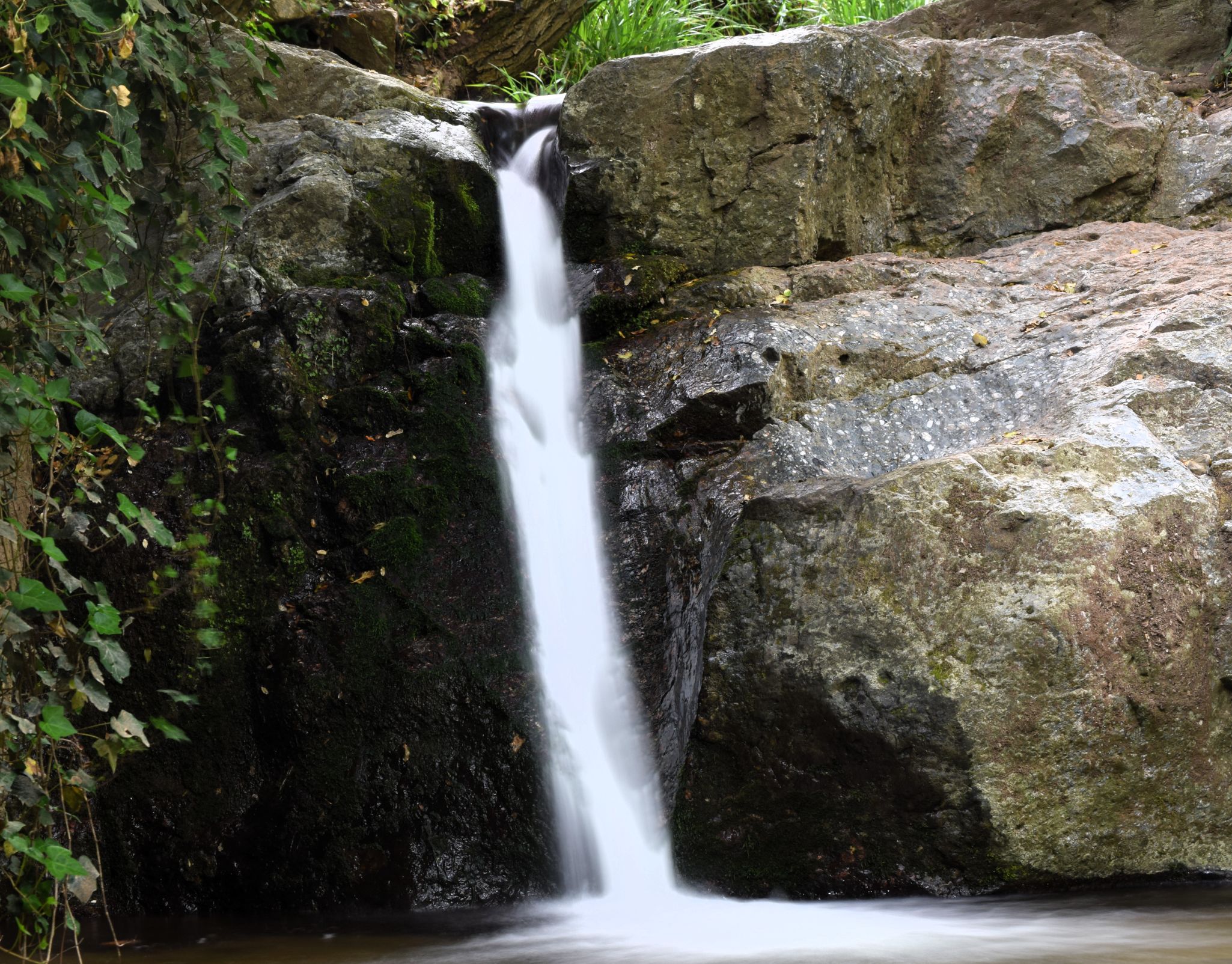Copia de Aigua sedosa    (10)